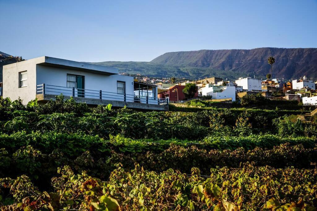Finca Maranuela La Perdoma Экстерьер фото